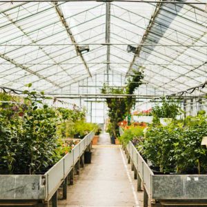 عوامل مؤثر بر هزینه ساخت گلخانه